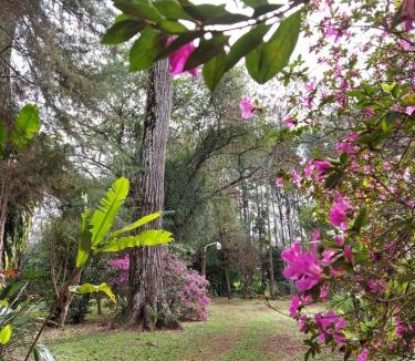 Zona Granja Bed & Breakfast | Oasis Bed and Breakfast