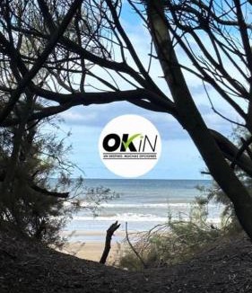 Costa del Este House | OKIN 25 New