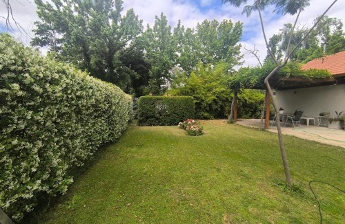 Chacras de Coria House | Old Willow