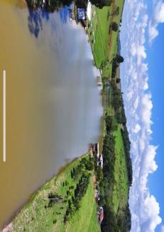Curiuva Other | Pesca Mais