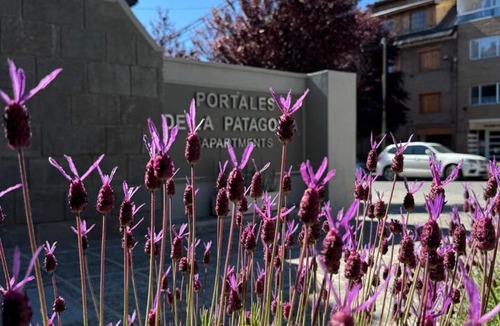 Centro Apartment | Portales de la Patagonia Apartments