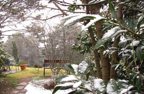La Cumbre Cabin | Posada los Cedros