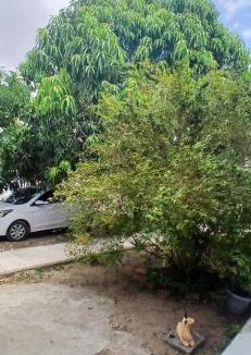 Tucano House | Pousada 48 Graus - Caldas do Jorro BA