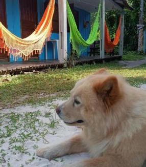 Paranagua Other | Pousada e Camping Rhaiana