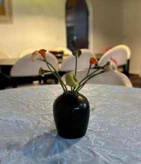 Cibratel II Hotel | Pousada Elite Residence - Itanhaém