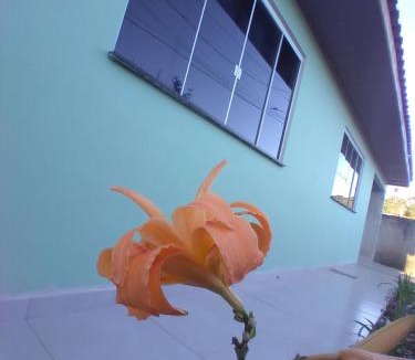 Quatro Barras House | Pousada Lar do Sossego