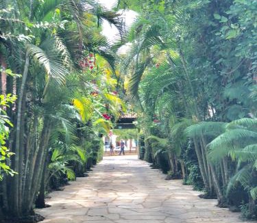 Centro Hotel | Pousada Rancho do Ralf