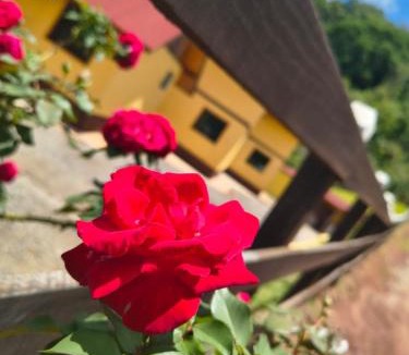 Extrema Cabin | Pousada Vista da Mantiqueira - Chalés Sabiá, Beija-Flor e Siriema