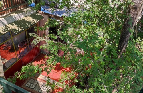 Tigre Apartment | Precioso Estudio con Impresionante Terraza