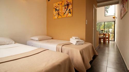 Tigre Apartment | Puerto Tigre