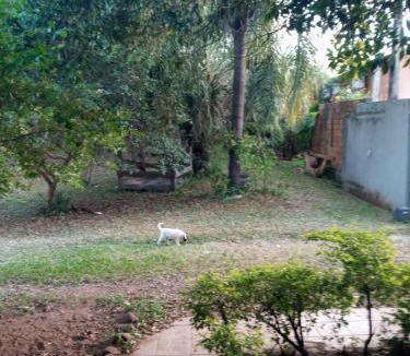 Alegrete House | Quarto de casal aconchegante