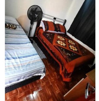 Telemaco Borba House | Quarto privativo