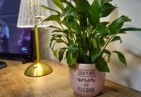 Centro House | QUARTO TOP no CENTR0 com Cama Box de casal - acomoda até 2 pessoas - Home Office - WIFI - Smart TV com Apps Youtube - Cozinha - banheiro - Sala de Estar - Apto compartilhado com Anfitriões experientes em hospedar - Superhost no BnB 5 estrelas
