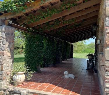 Villa Allende House | Quinta lo de Dito