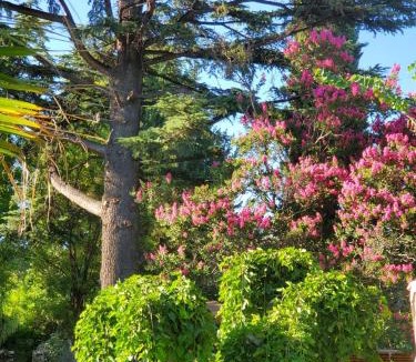 Chacras de Coria Bed & Breakfast | Quinta Ugarte