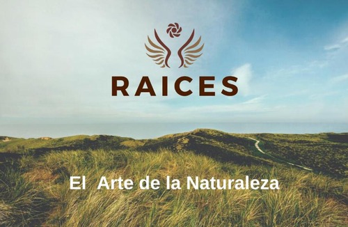 Ongamira Cabin | Raíces Ongamira