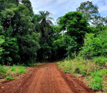 Puerto Leoni Other | RadiX MISIONES