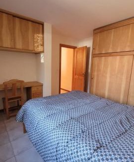 Lanin National Park Apartment | RAM2 DEPTO1