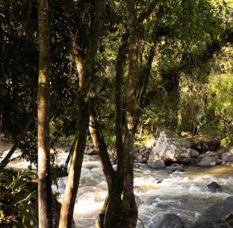 Rio dos Cedros Ski Chalet | Recanto do Rio Chalé na Natureza
