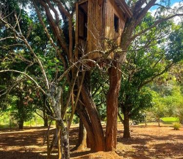 Mato Dentro House | Refúgio Beija Flor Chalé com Casa na Árvore