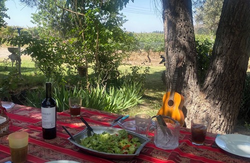 Lujan de Cuyo House | Scenic 3 Bedroom House with Pool in a 50 Acres Vineyard