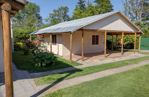 Rama Caida House | Siempre Verde