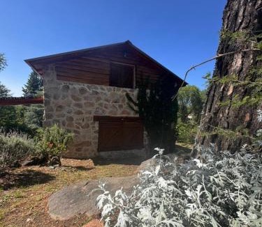 Yocsina House | Stone Cabin, PETRA HAUS