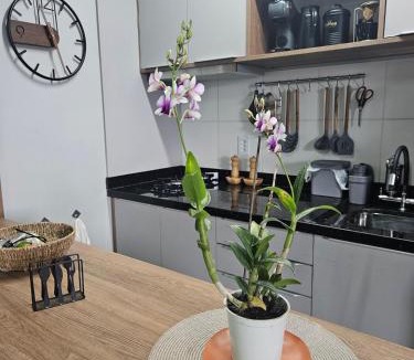 Alexandra Apartment | Studio 106 - com ar condicionado e garagem