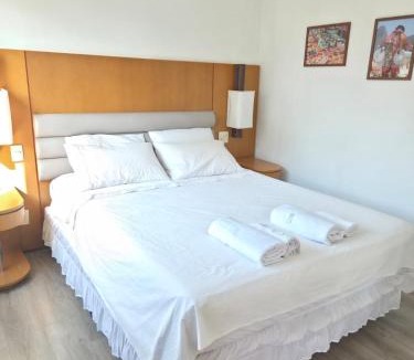 Zona Sul Apartment | Studio Corcovado