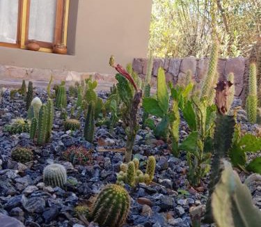 Tilcara Apartment | Tierra Primitiva