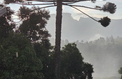 Vila Telma Cabin | Treehouse in Campos do Jordão, a romantic retreat of good taste and tranquility.