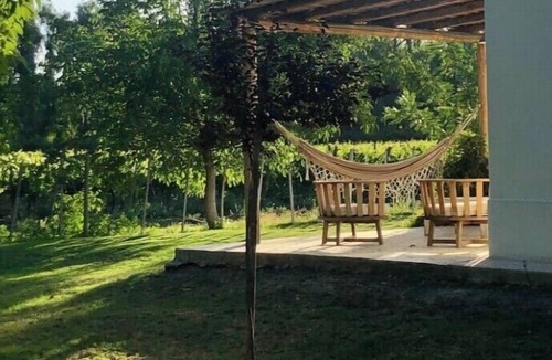 Tunuyan House | Uco Valley Vineyard Villa w/pool