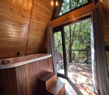 Alto Gasparinho Ski Chalet | Um chalé e um riacho no meio da natureza