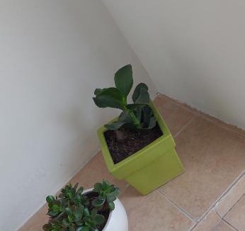 San Juan Apartment | Urquiza 88