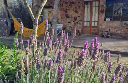 San Javier House | Vayu- en La Casa de Nanda