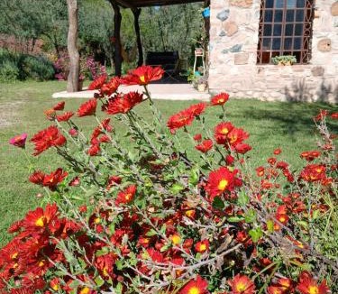 San Javier House | Vayu- en La Casa de Nanda