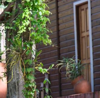 Leandro N. Alem House | VerdeMonte - Cabaña Lapacho