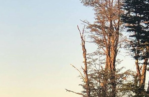 Neuquen Cabin | Villa las Lengas