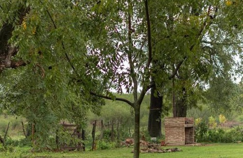 Victoria House | Villa Pancha