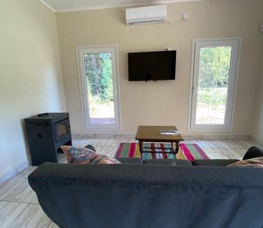 Junin House | Villa Portezuelo
