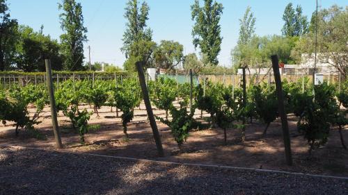 Maipu Bed & Breakfast | Villa Victoria Lodge