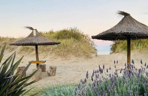 Miramar Apartment | Violeta Beach Front Apartment