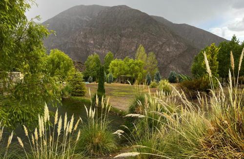 Salto House | Viví Potrerillos