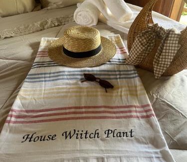 Tesouro da Colina House | Wiitch Plant hospedagem