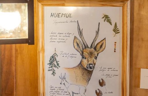 Lago Puelo Ski Chalet | Wild Cabañas Boutique