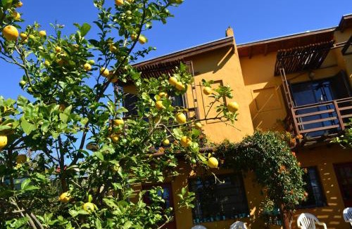 Colon House | Yataí Casas