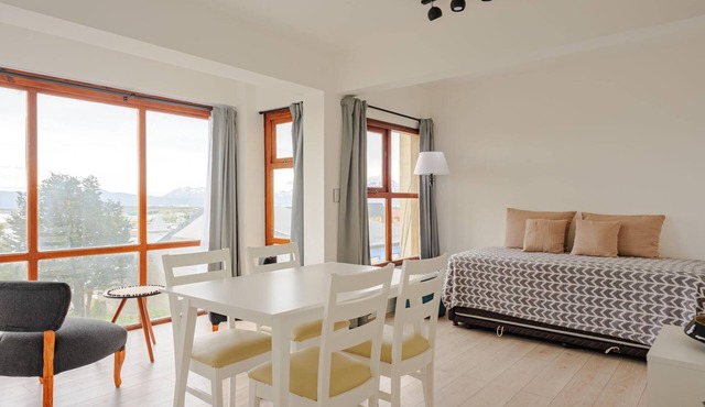1 bedroom apartment with sea view