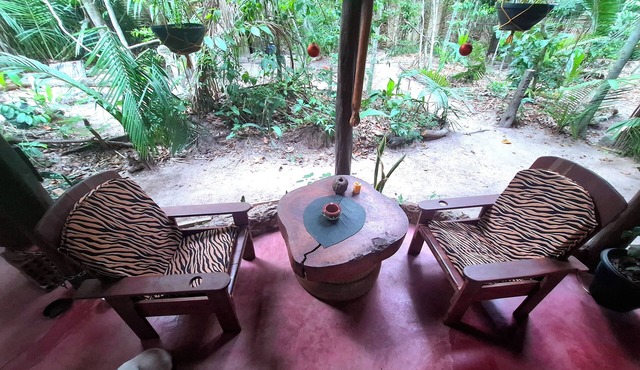 A tortoise's house in an Enchanted Forest. Reconnect