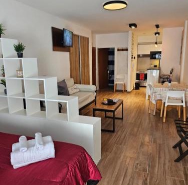 Amplio y hermoso departamento en Buenos Aires