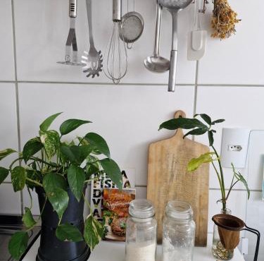 Apartamento inteiro